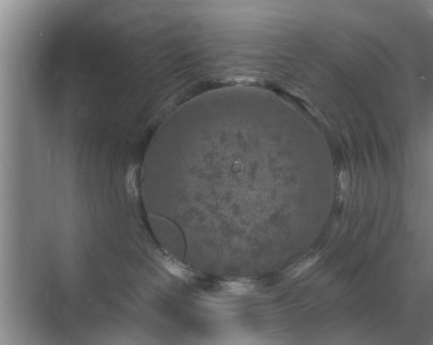 X0000072960286200607282304