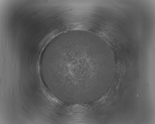 X0000072960290200607282303