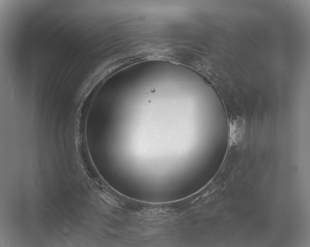 X0000072960291200607282303