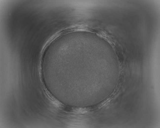 X0000072960293200607282303