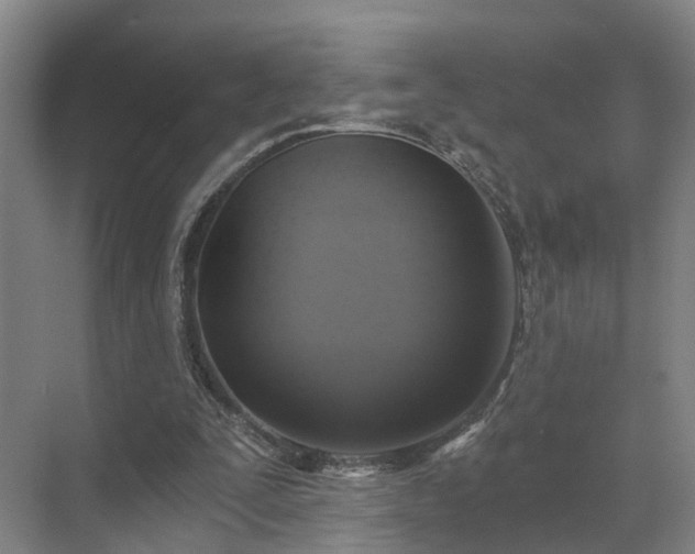 X0000072960295200607282303