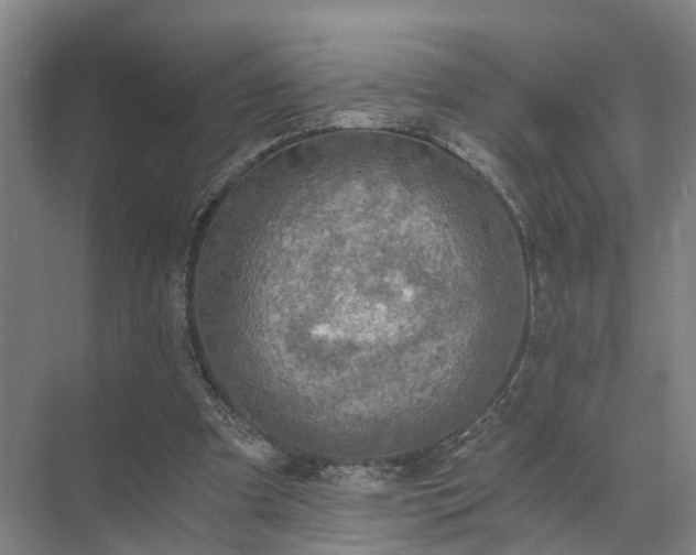 X0000072960297200607282303