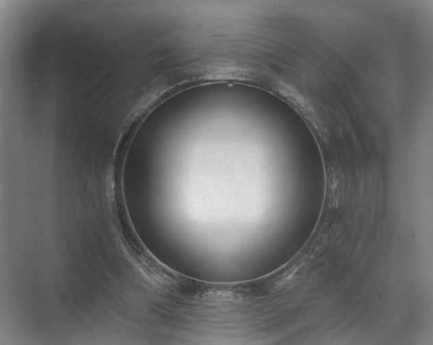 X0000072960298200607282303