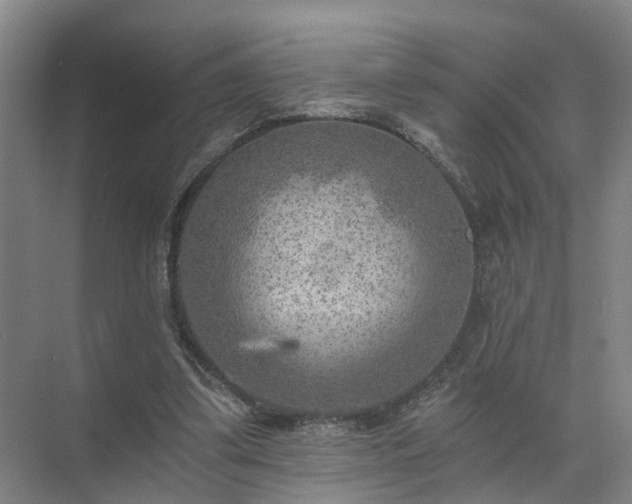 X0000072960299200607282303