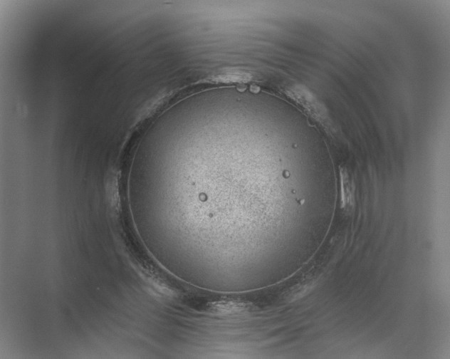 X0000072960300200607282303