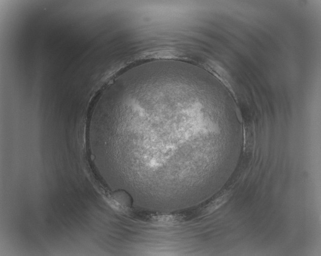 X0000072960301200607282303