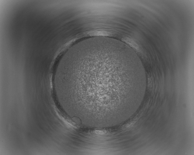 X0000072960302200607282303