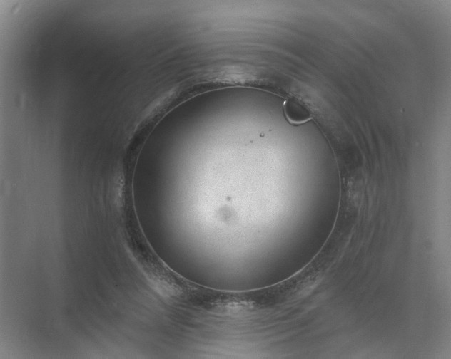 X0000072960304200607282303