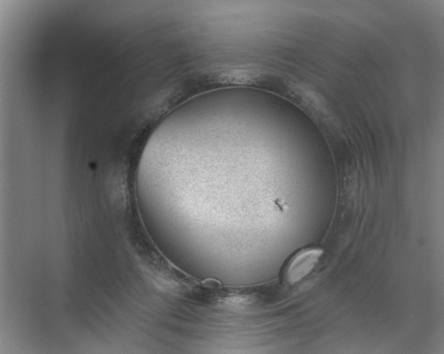 X0000072960312200607282303