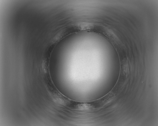 X0000072960316200607282303