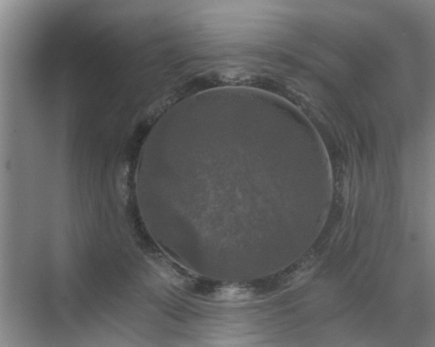 X0000072960319200607282302