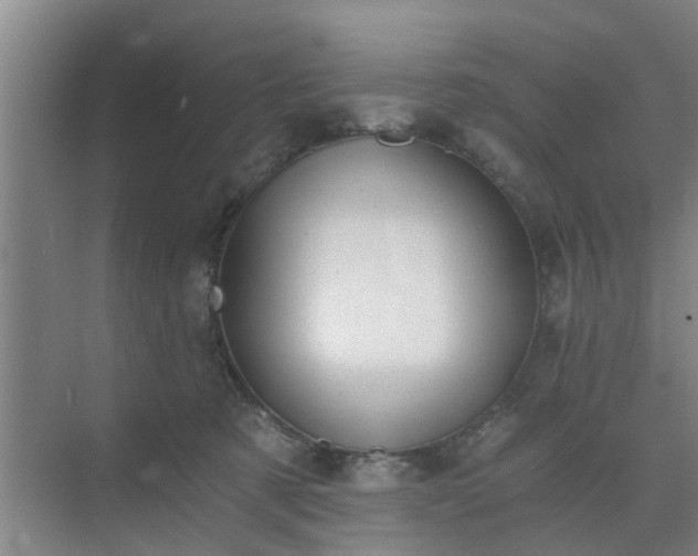 X0000072960321200607282302