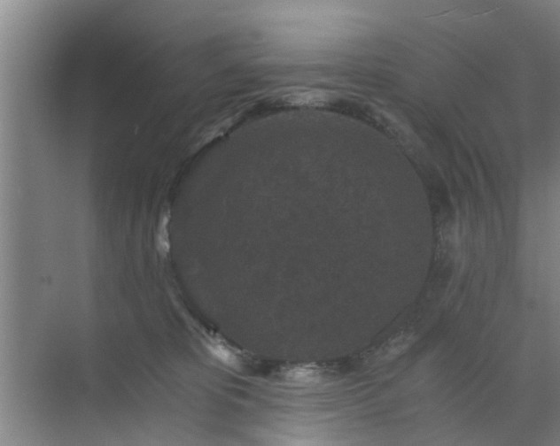 X0000072960325200607282302