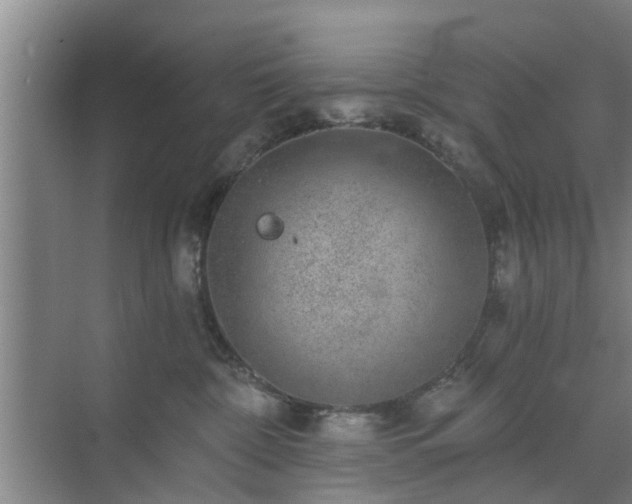 X0000072960332200607282302