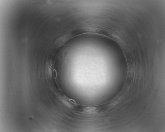 X0000072960334200607282302