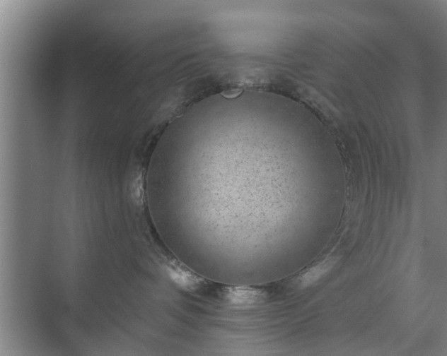 X0000072960336200607282302