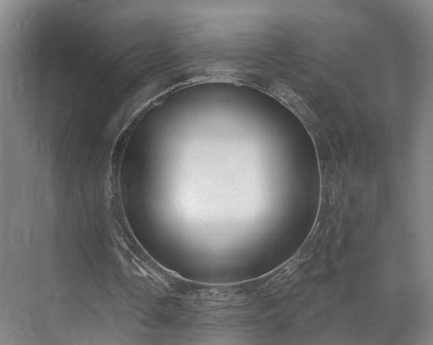 X0000072960338200607282301