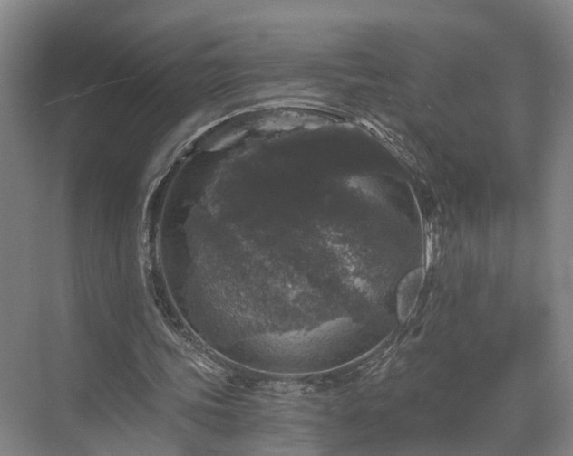 X0000072960339200607282301