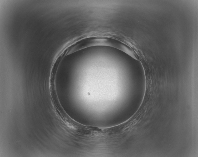 X0000072960340200607282301