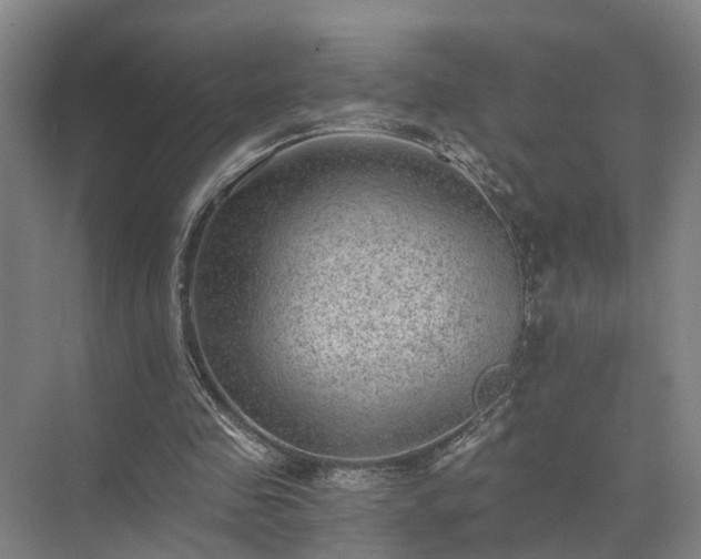 X0000072960341200607282301