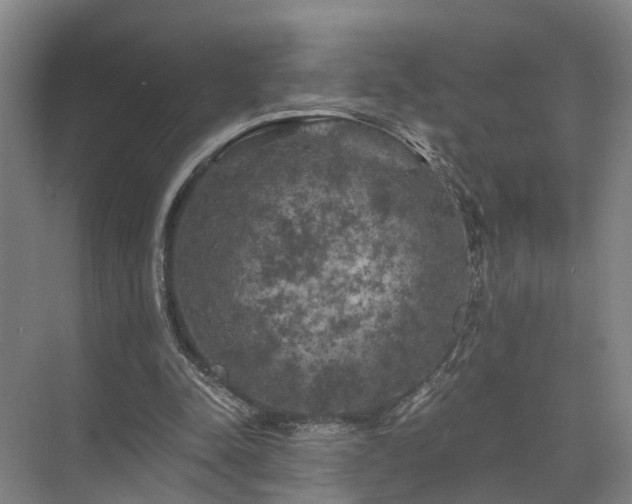 X0000072960342200607282301