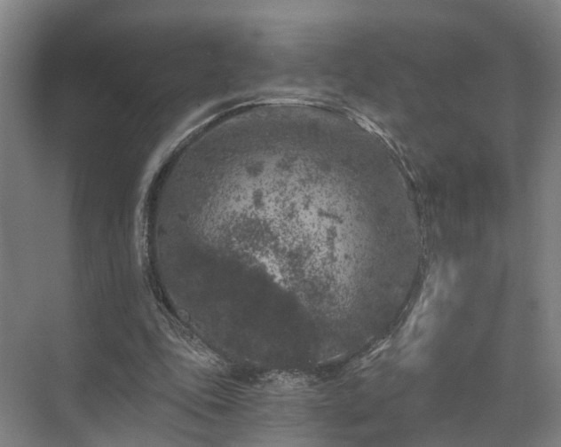 X0000072960343200607282301