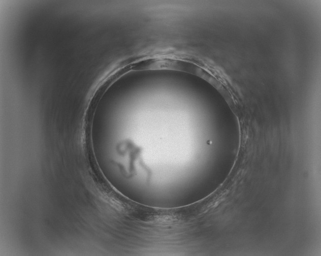 X0000072960344200607282301