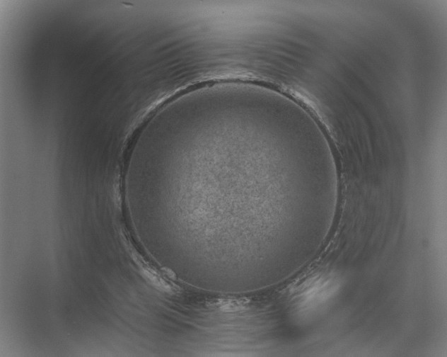 X0000072960345200607282301