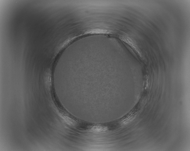 X0000072960348200607282302