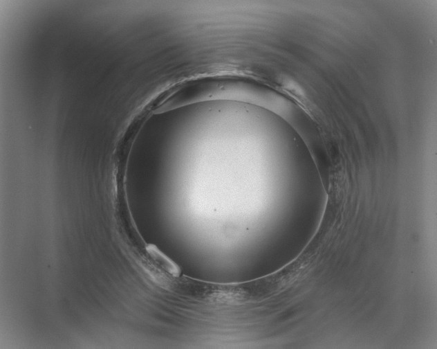 X0000072960350200607282302