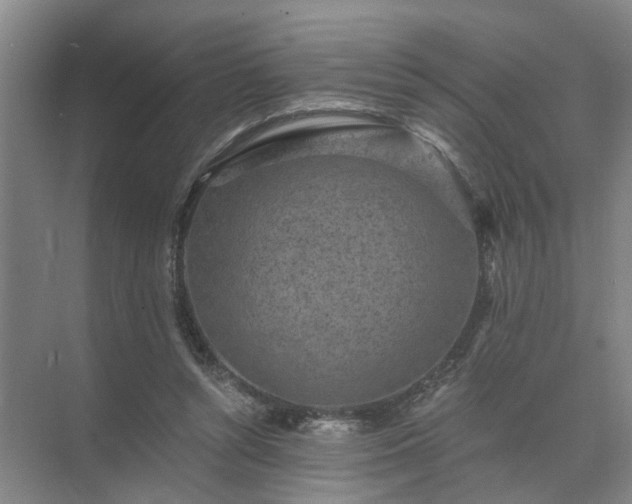 X0000072960352200607282302