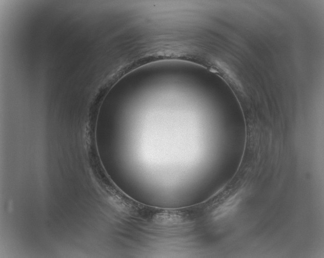 X0000072960354200607282302