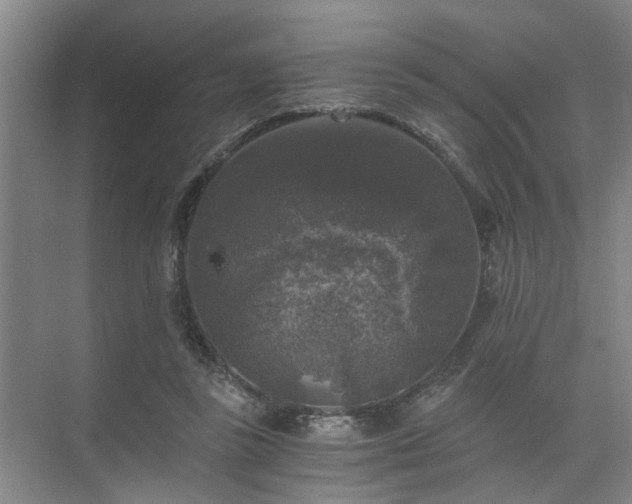 X0000072960355200607282302