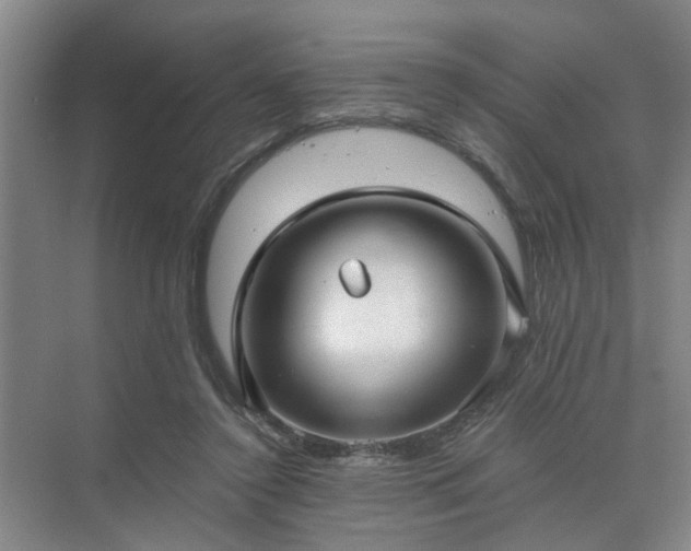 X0000072960356200607282302