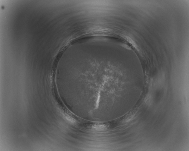 X0000072960357200607282302