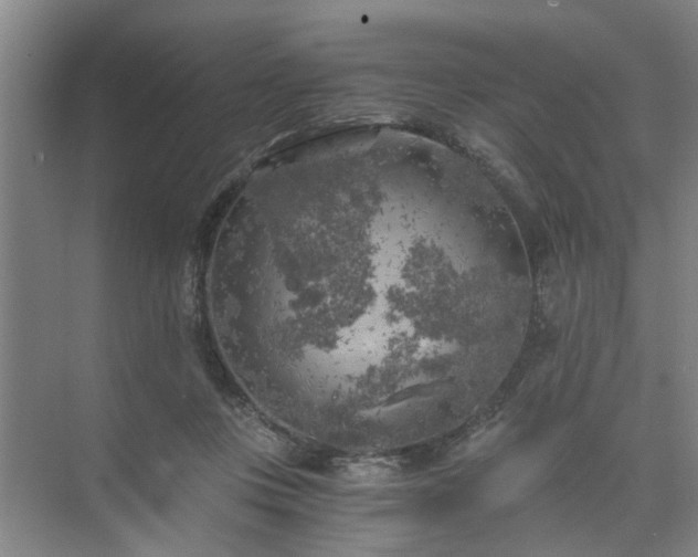 X0000072960359200607282302