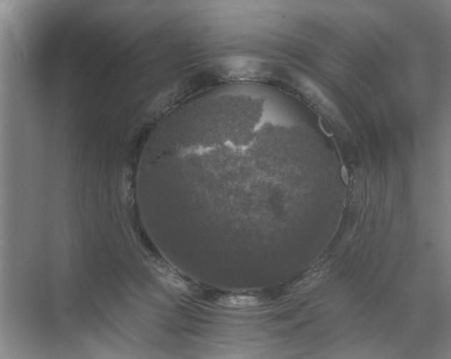 X0000072960361200607282302