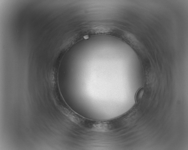 X0000072960362200607282302