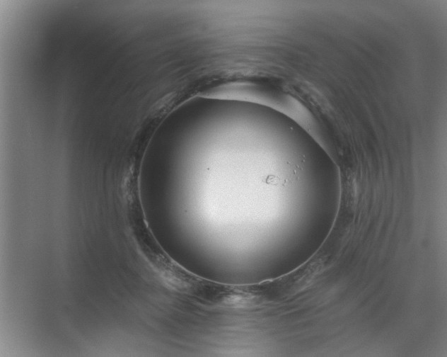 X0000072960364200607282302