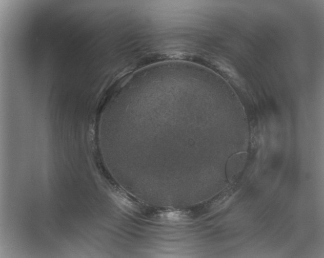 X0000072960365200607282302