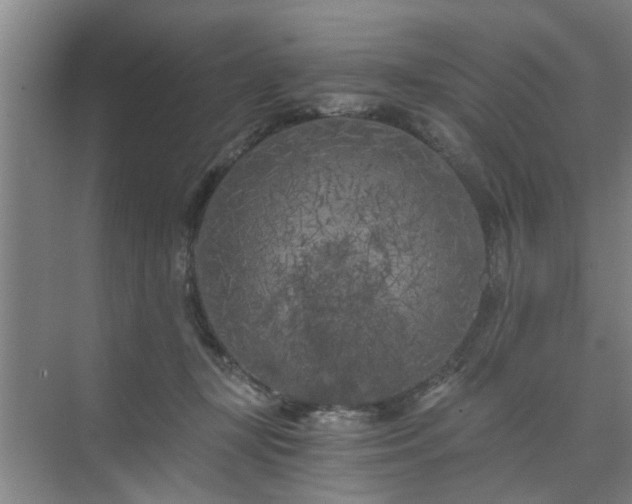 X0000072960367200607282302