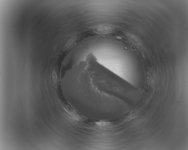 X0000072960371200607282302