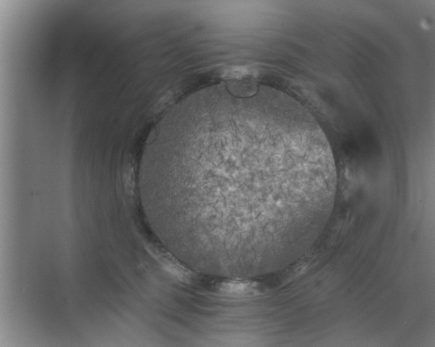 X0000072960375200607282302