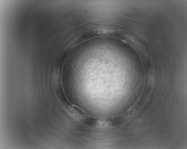 X0000072960376200607282302