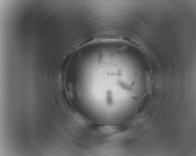 X0000072960378200607282302