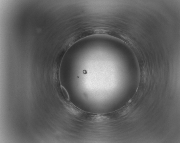 X0000072960379200607282302