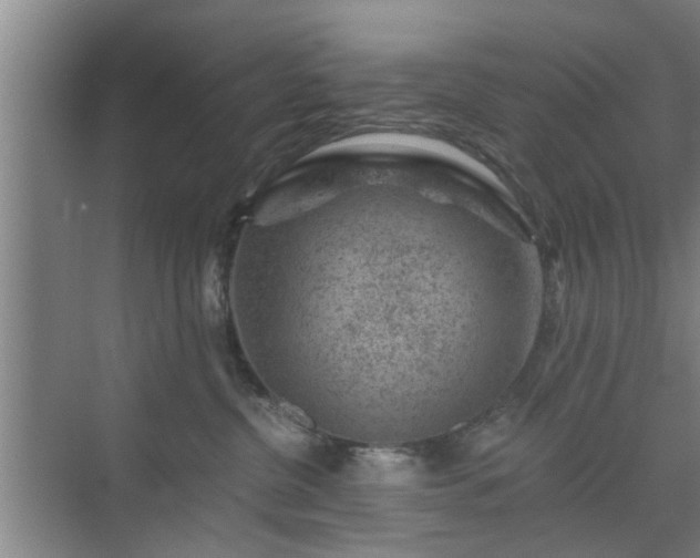 X0000072960380200607282302