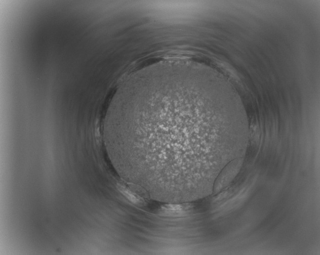 X0000072960381200607282302