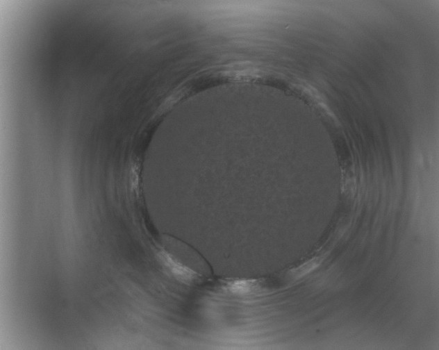 X0000072960382200607282302