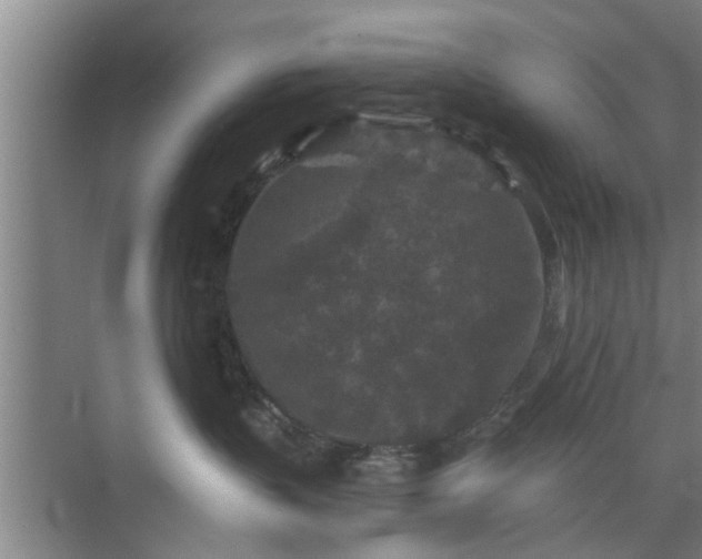 X0000072960383200607282302